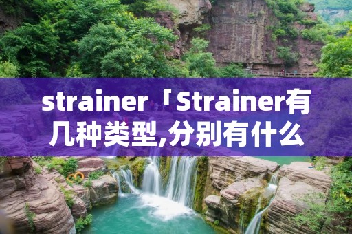 strainer「Strainer有几种类型,分别有什么特点呢?」 strainer「Strainer有几种类型,分别有什么特点呢?」