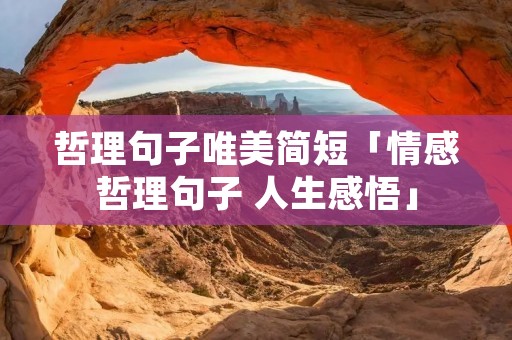 哲理句子唯美简短「情感哲理句子 人生感悟」