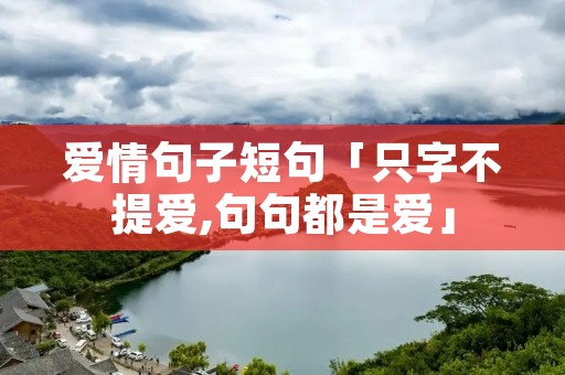爱情句子短句「只字不提爱,句句都是爱」