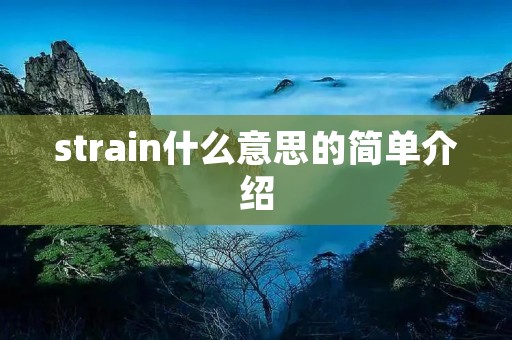 strain什么意思的简单介绍