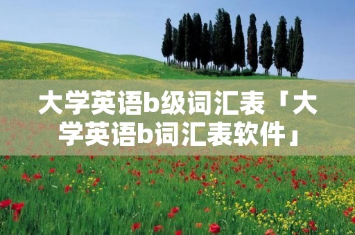 大学英语b级词汇表「大学英语b词汇表软件」