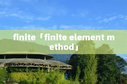 finite「finite element method」