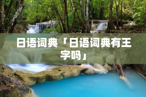 日语词典「日语词典有王字吗」