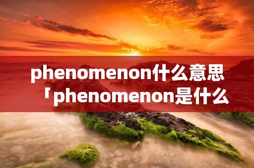 phenomenon什么意思「phenomenon是什么意思英语翻译」