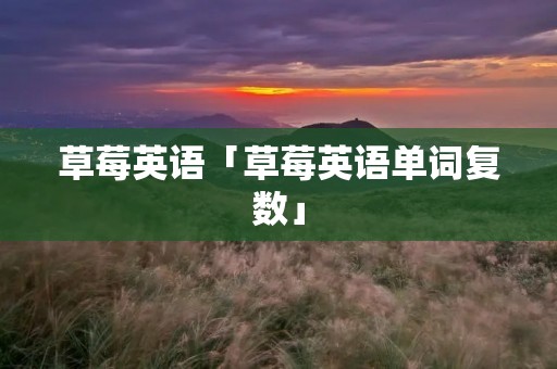草莓英语「草莓英语单词复数」 草莓英语「草莓英语单词复数」