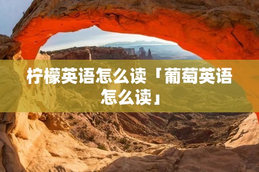柠檬英语怎么读「葡萄英语怎么读」 柠檬英语怎么读「葡萄英语怎么读」