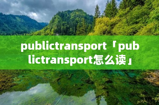 publictransport「publictransport怎么读」