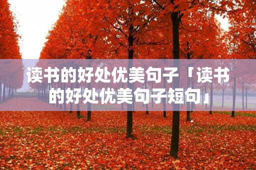 读书的好处优美句子「读书的好处优美句子短句」