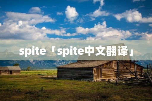 spite「spite中文翻译」