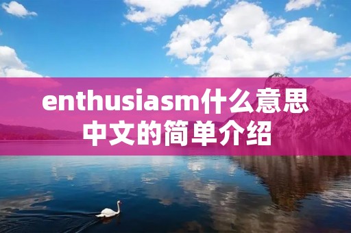 enthusiasm什么意思中文的简单介绍