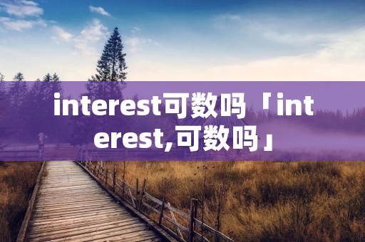 interest可数吗「interest,可数吗」