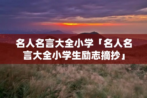 名人名言大全小学「名人名言大全小学生励志摘抄」