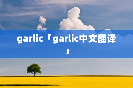 garlic「garlic中文翻译」