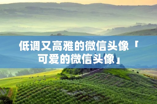 低调又高雅的微信头像「可爱的微信头像」