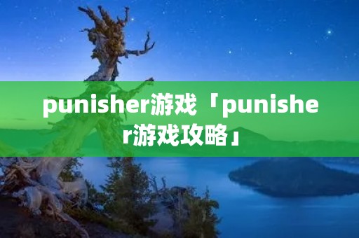 punisher游戏「punisher游戏攻略」