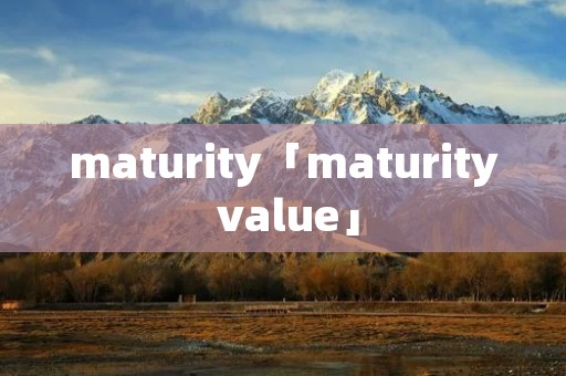 maturity「maturity value」