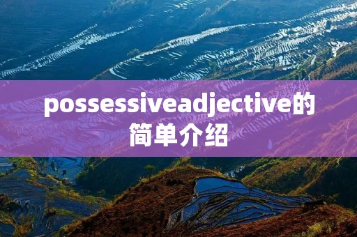 possessiveadjective的简单介绍