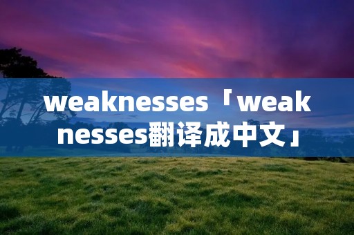 weaknesses「weaknesses翻译成中文」
