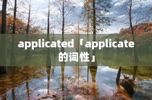 applicated「applicate的词性」