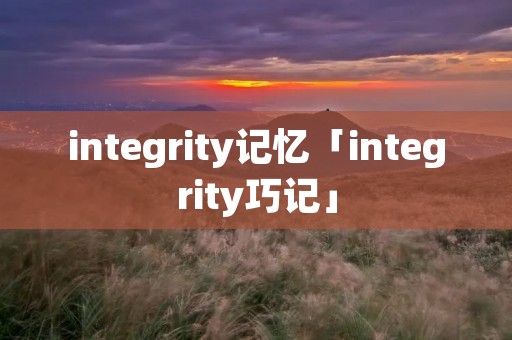 integrity记忆「integrity巧记」