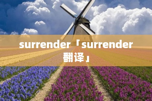 surrender「surrender翻译」