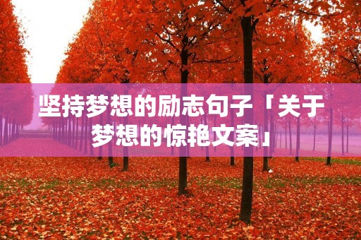 坚持梦想的励志句子「关于梦想的惊艳文案」
