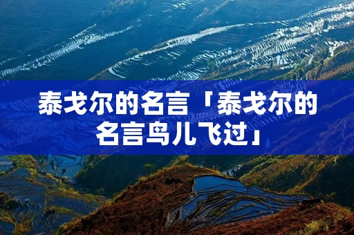 泰戈尔的名言「泰戈尔的名言鸟儿飞过」