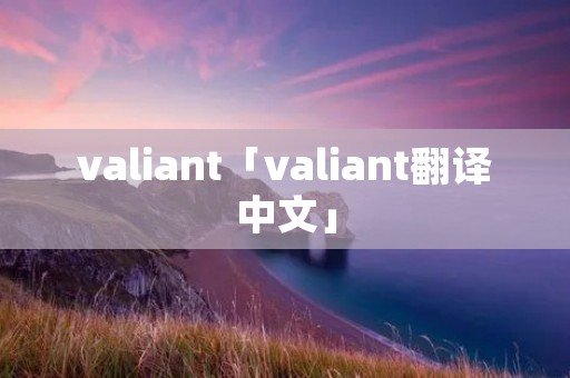 valiant「valiant翻译中文」