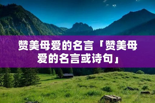 赞美母爱的名言「赞美母爱的名言或诗句」