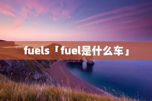 fuels「fuel是什么车」