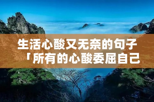 生活心酸又无奈的句子「所有的心酸委屈自己扛的句子」