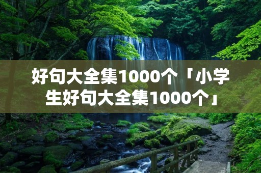 好句大全集1000个「小学生好句大全集1000个」