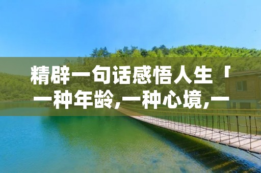 精辟一句话感悟人生「一种年龄,一种心境,一种领悟」