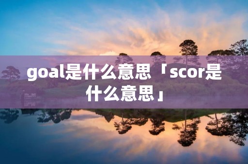goal是什么意思「scor是什么意思」