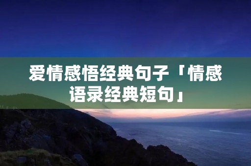 爱情感悟经典句子「情感语录经典短句」