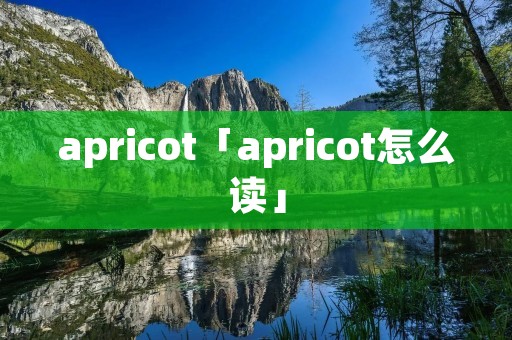 apricot「apricot怎么读」 apricot「apricot怎么读」