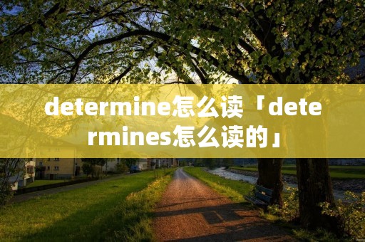 determine怎么读「determines怎么读的」