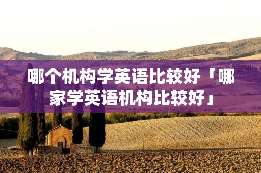 哪个机构学英语比较好「哪家学英语机构比较好」 哪个机构学英语比较好「哪家学英语机构比较好」