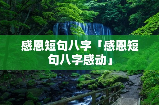 感恩短句八字「感恩短句八字感动」