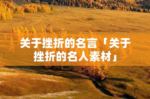 关于挫折的名言「关于挫折的名人素材」