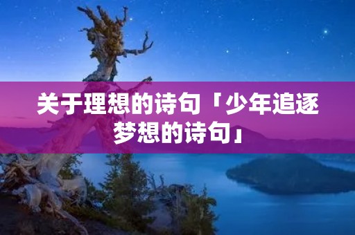 关于理想的诗句「少年追逐梦想的诗句」