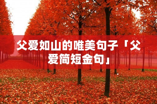 父爱如山的唯美句子「父爱简短金句」