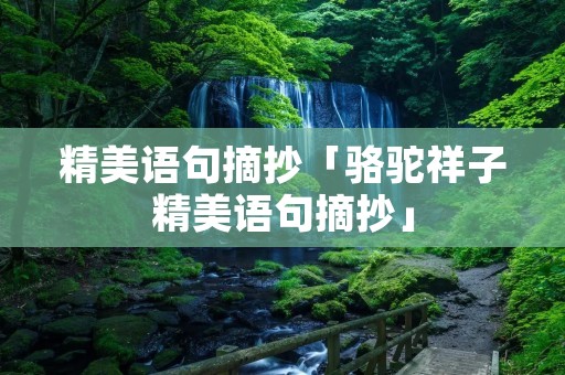 精美语句摘抄「骆驼祥子精美语句摘抄」