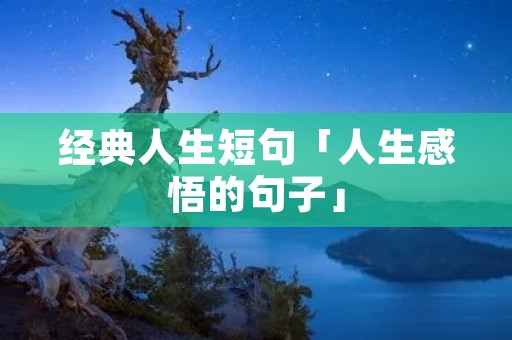 经典人生短句「人生感悟的句子」
