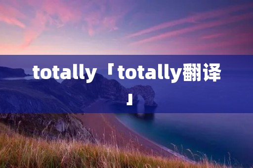 totally「totally翻译」