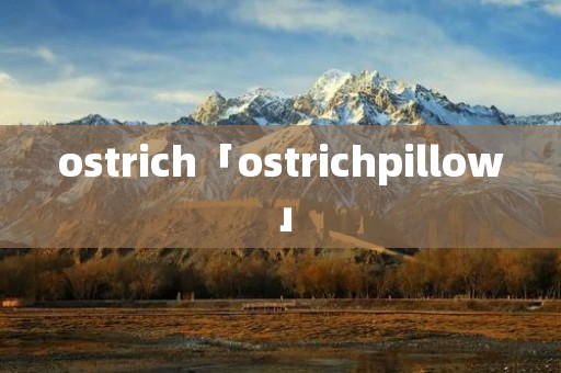 ostrich「ostrichpillow」