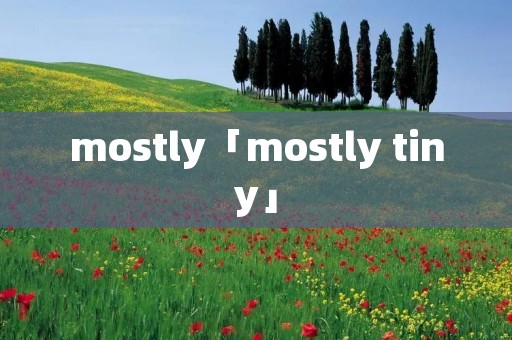 mostly「mostly tiny」