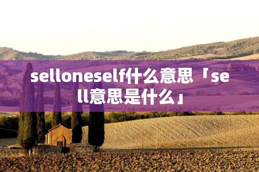 selloneself什么意思「sell意思是什么」