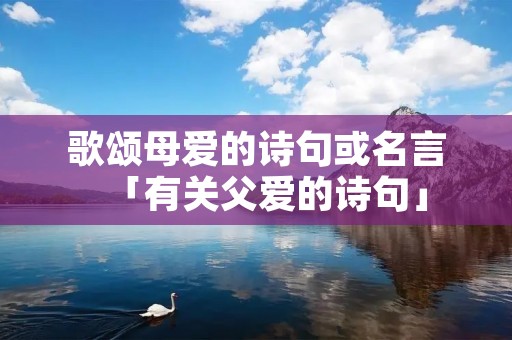 歌颂母爱的诗句或名言「有关父爱的诗句」