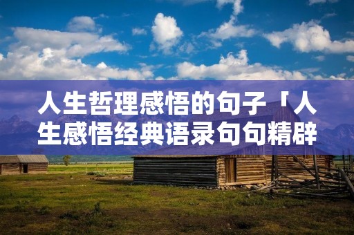 人生哲理感悟的句子「人生感悟经典语录句句精辟入人心」